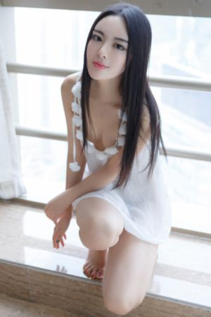 猎豺狼电视剧全集免费_DVD电视剧在线观看