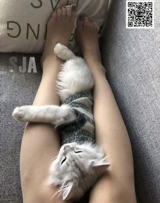 甜蜜蜜电视剧免费全集播放_BD韩语完整在线观看