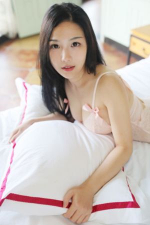 《苍狼》电视剧_BD高清完整版