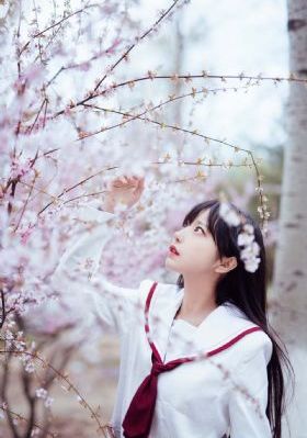 午夜精品成人一区二区_免费手机观看